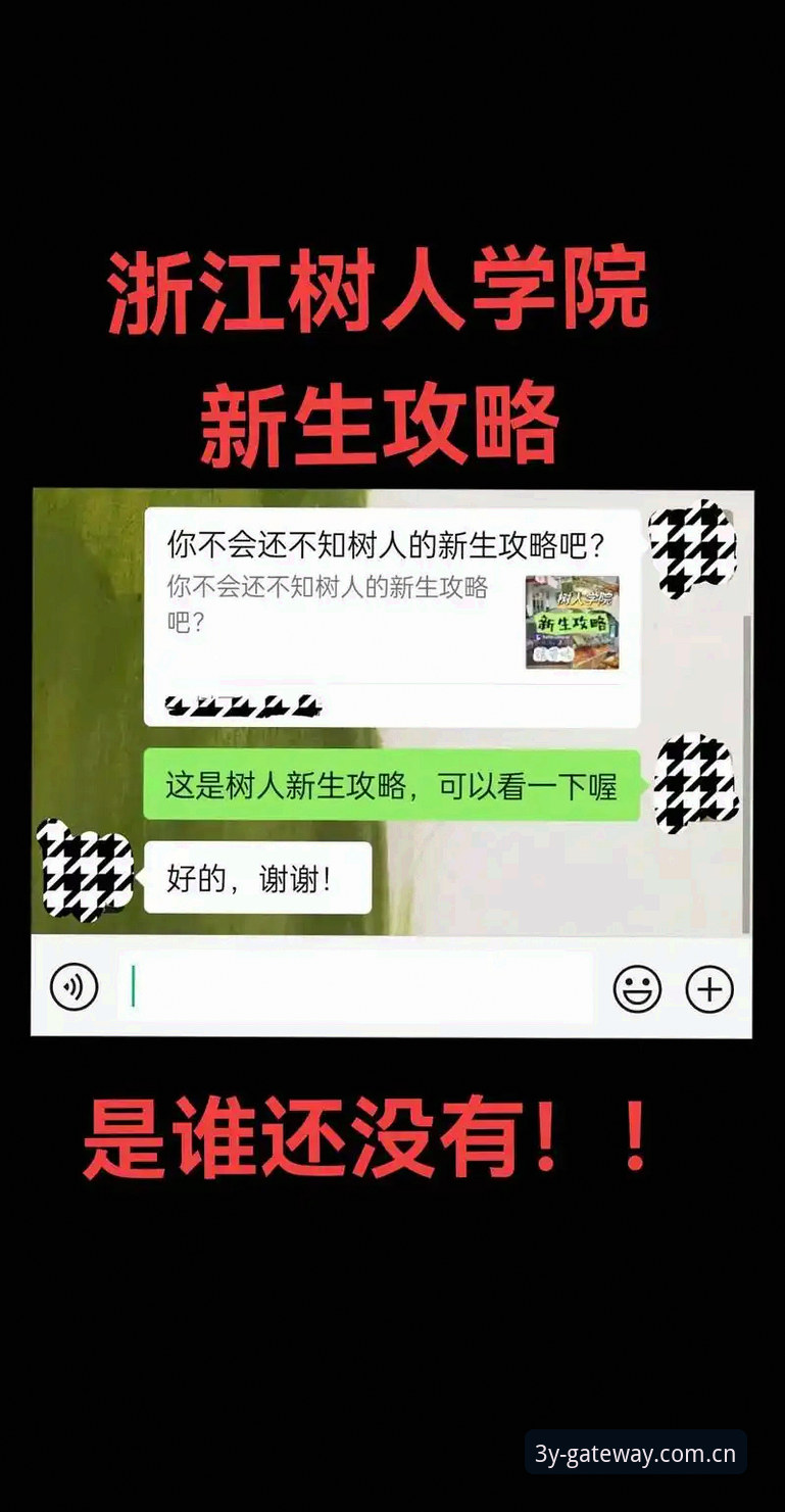 三亿体育官网认证 vs 非官方入口：运动爱好者该如何选择？