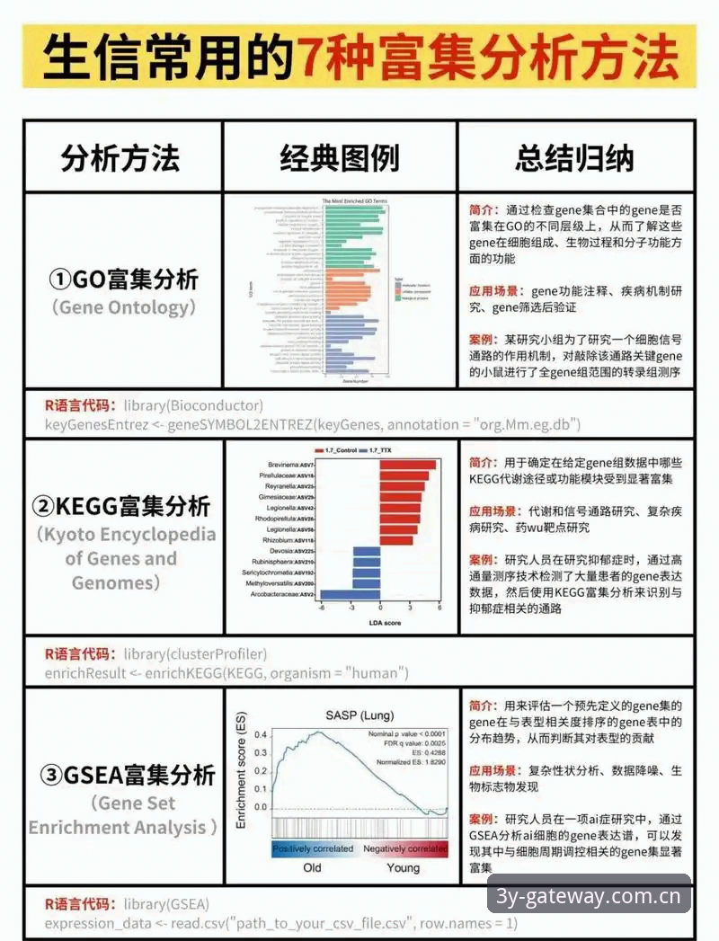 三亿体育iOS版哪个好 皇家社会引援分析:迪奥戈·莱特转会动态与三亿体育平台观赛教程